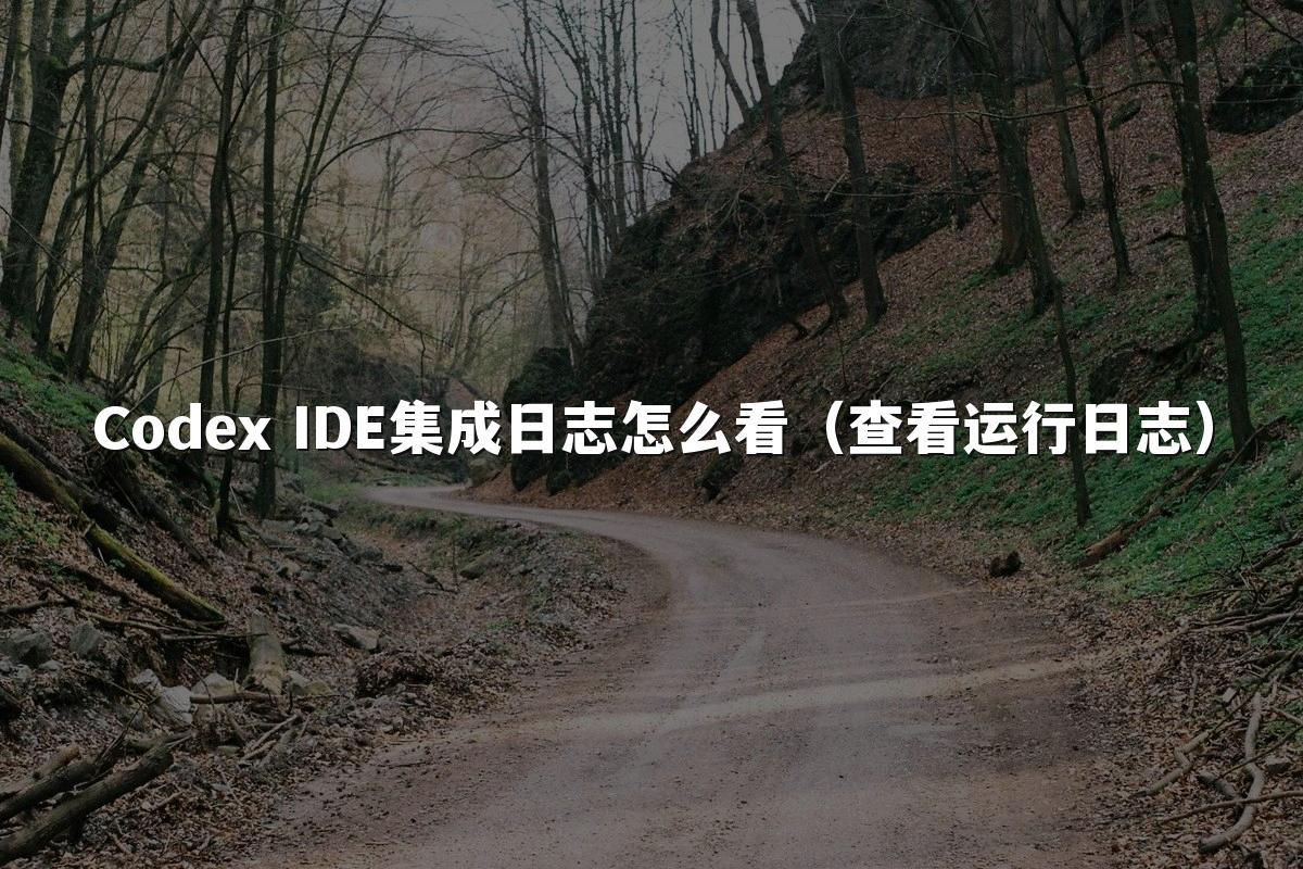 Codex IDE集成日志怎么看（查看运行日志）