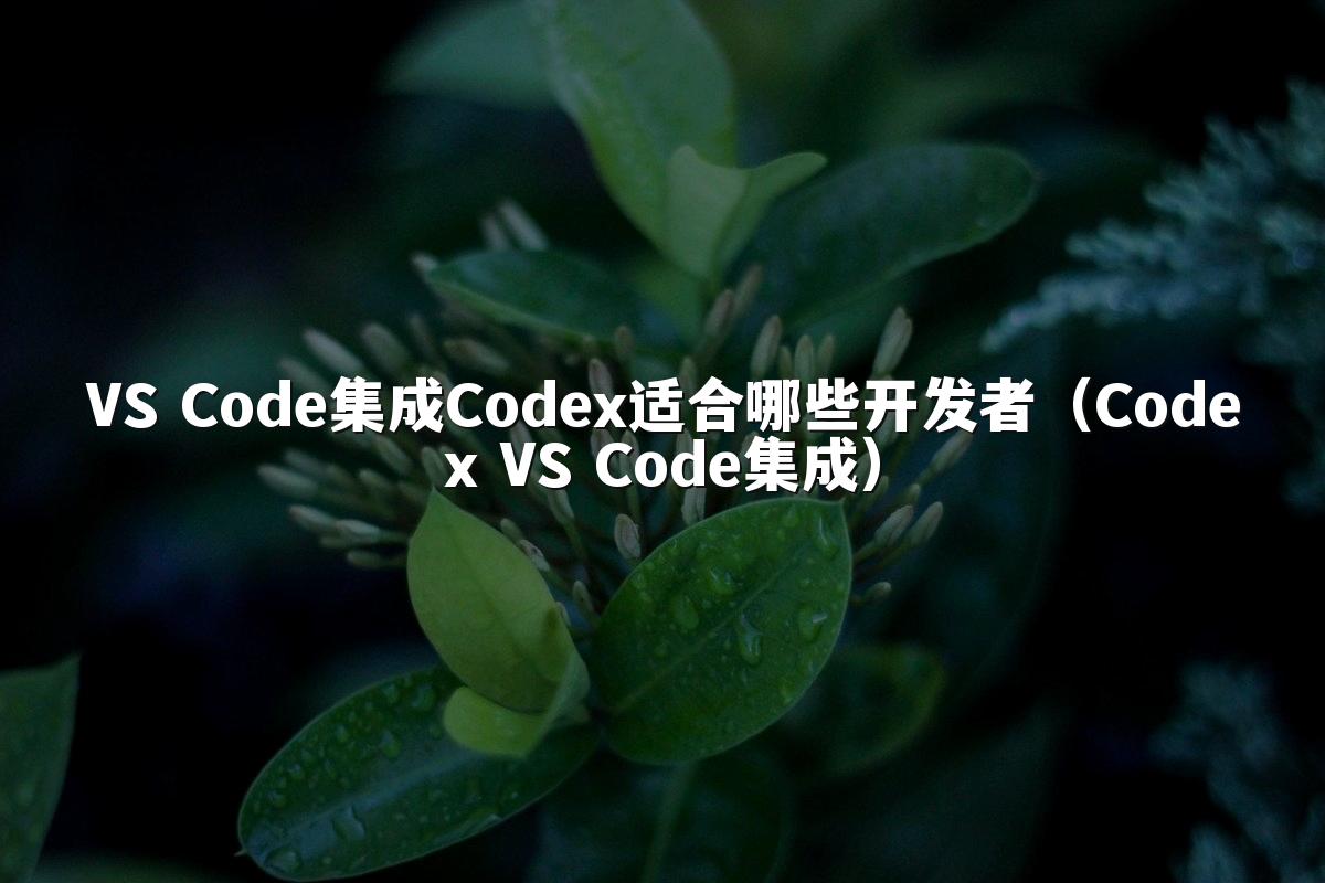 VS Code集成Codex适合哪些开发者(Codex VS Code集成)
