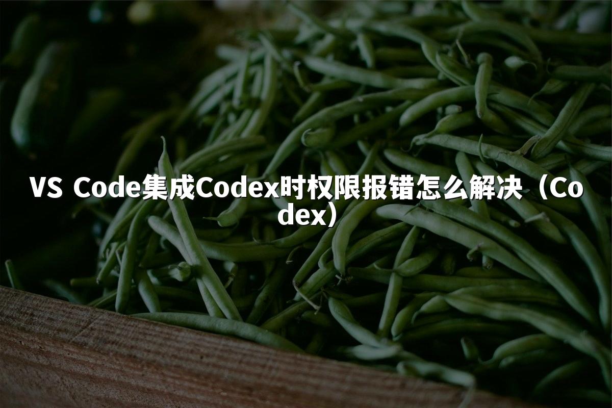 VS Code集成Codex时权限报错怎么解决(Codex)