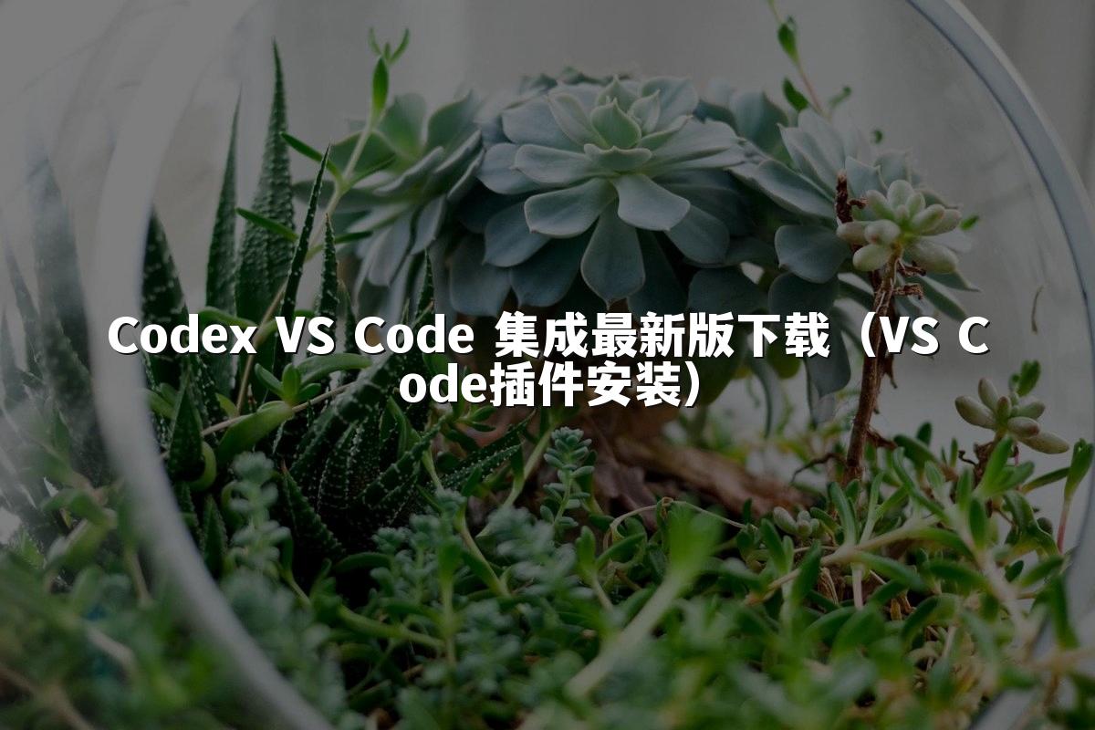 Codex VS Code 集成最新版下载(VS Code插件安装)