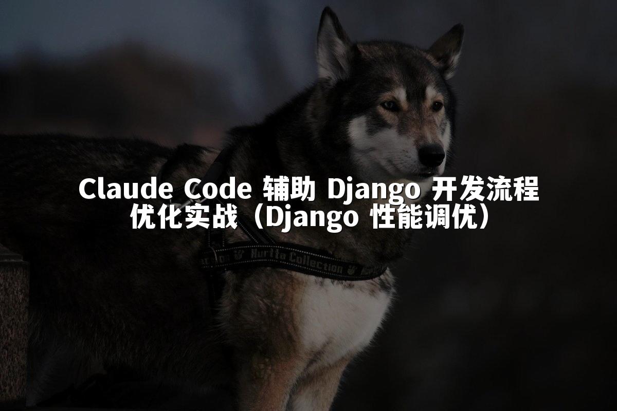 Claude Code 辅助 Django 开发流程优化实战(Django 性能调优)