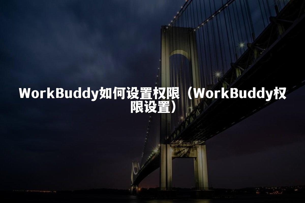 WorkBuddy如何设置权限(WorkBuddy权限设置)