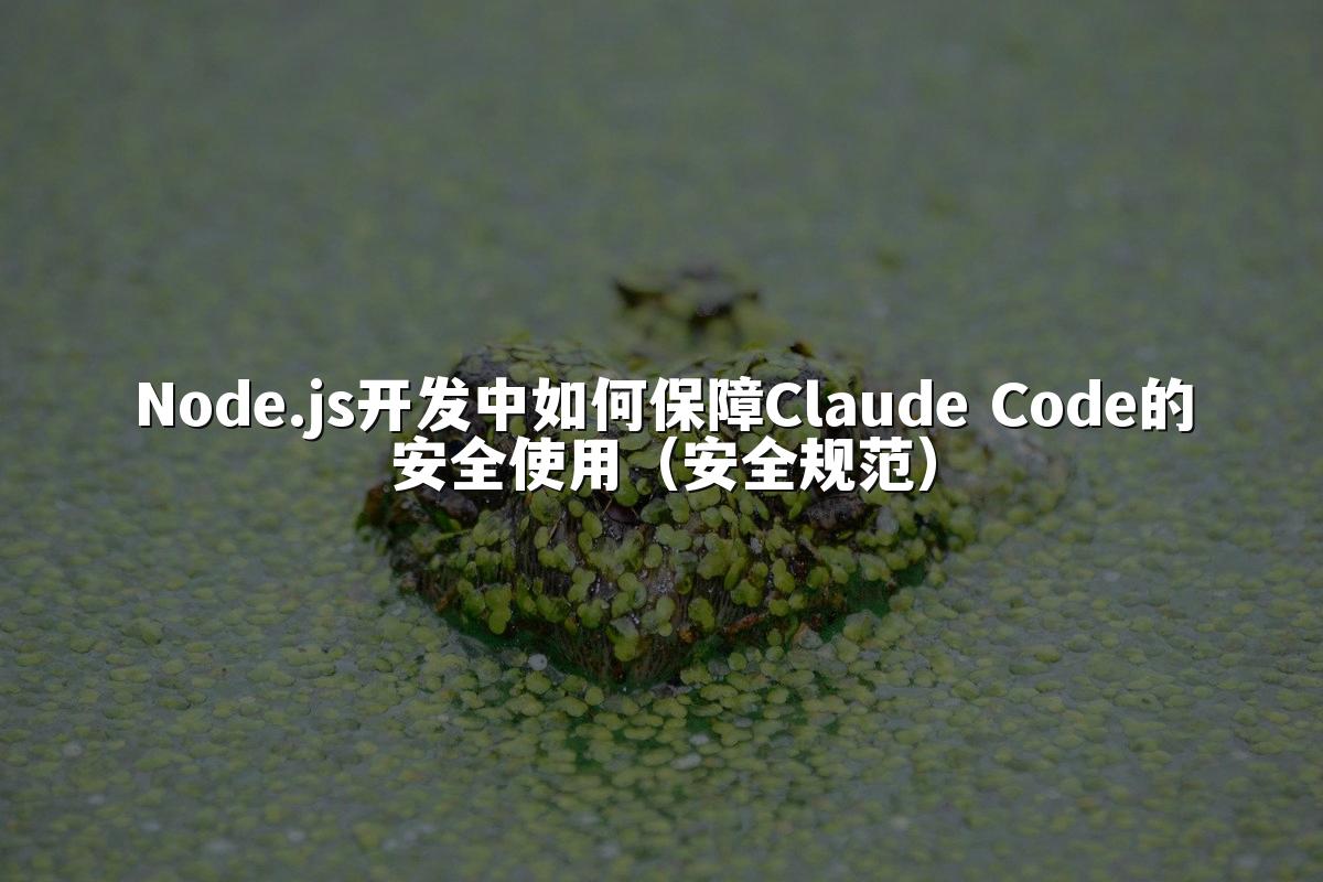 Node.js开发中如何保障Claude Code的安全使用(安全规范)