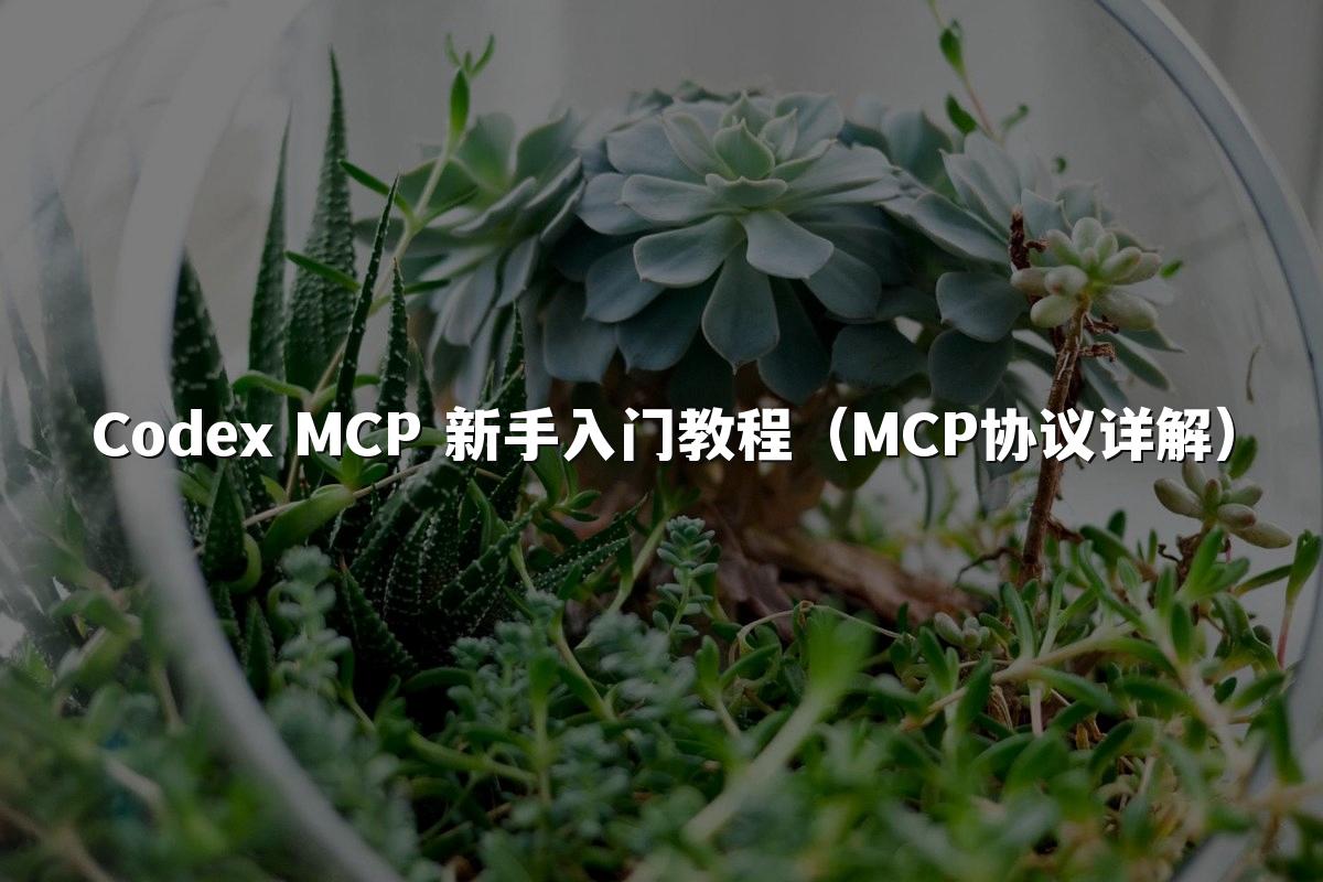 Codex MCP 新手入门教程(MCP协议详解)