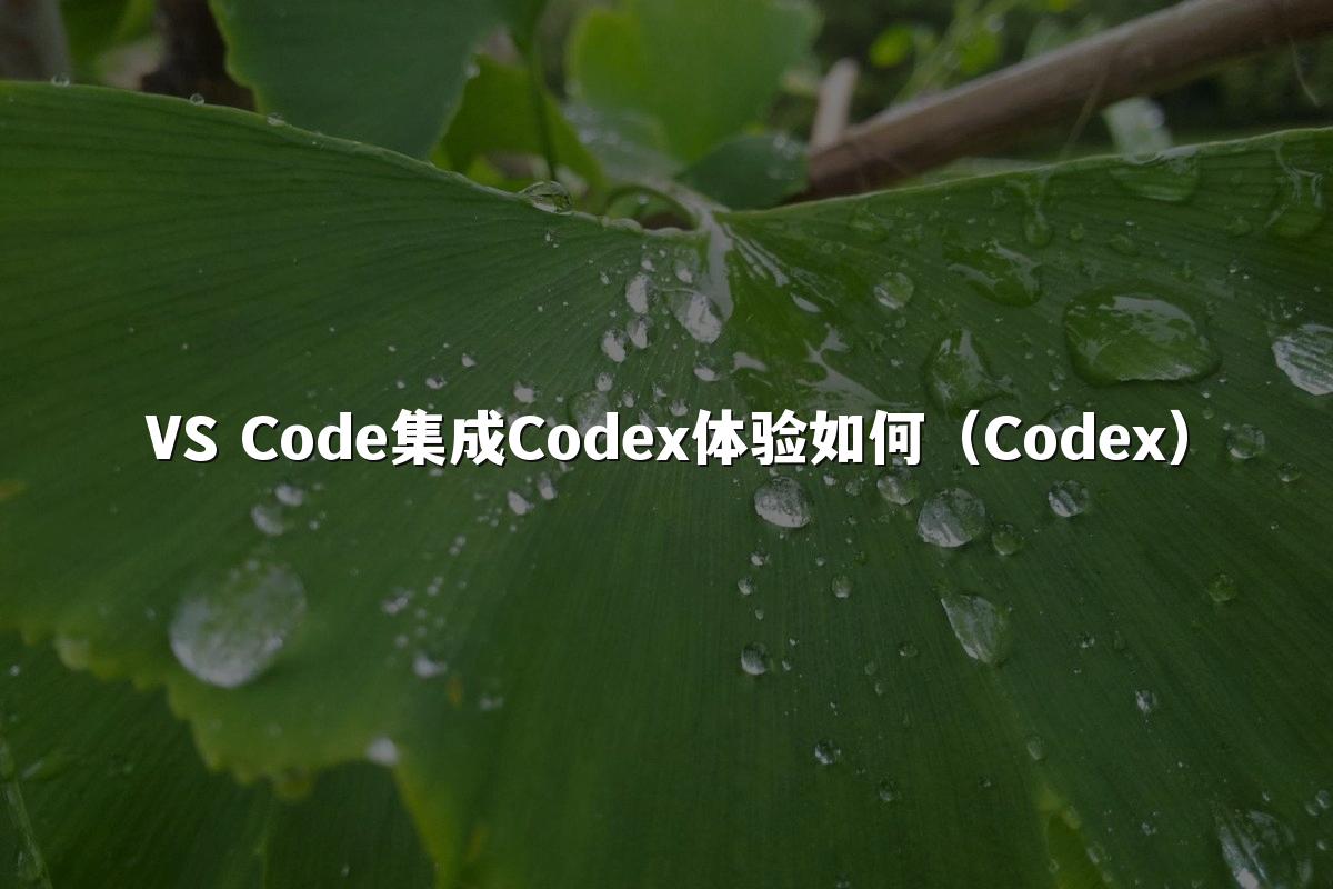 VS Code集成Codex体验如何（Codex）