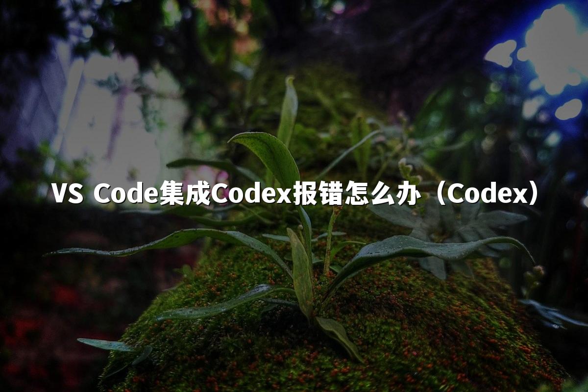 VS Code集成Codex报错怎么办(Codex)