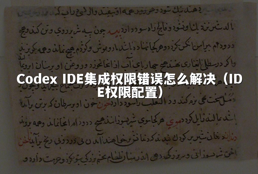 Codex IDE集成权限错误怎么解决（IDE权限配置）