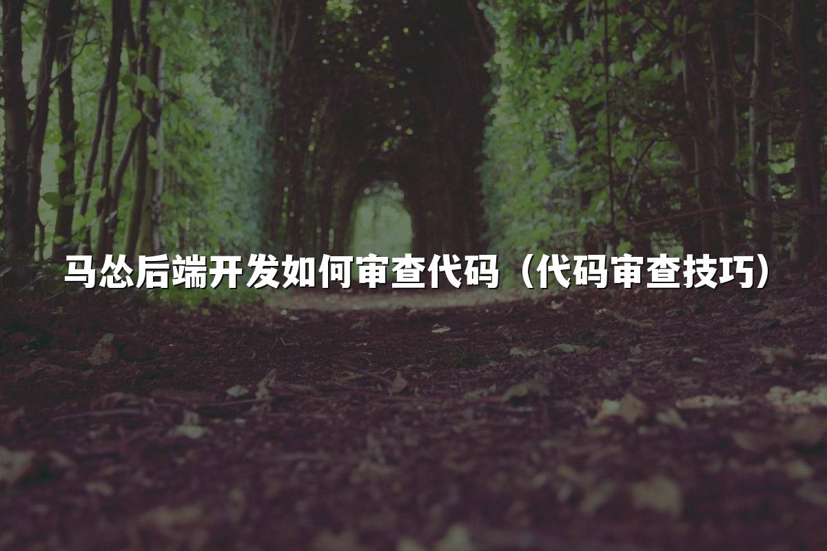 马怂后端开发如何审查代码（代码审查技巧）