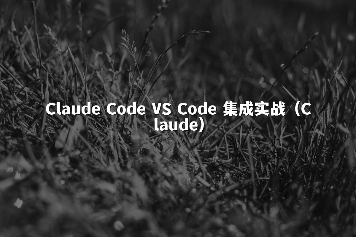 Claude Code VS Code 集成实战(Claude)