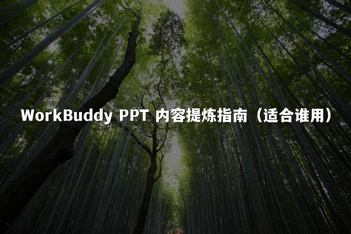 WorkBuddy PPT 内容提炼指南（适合谁用）