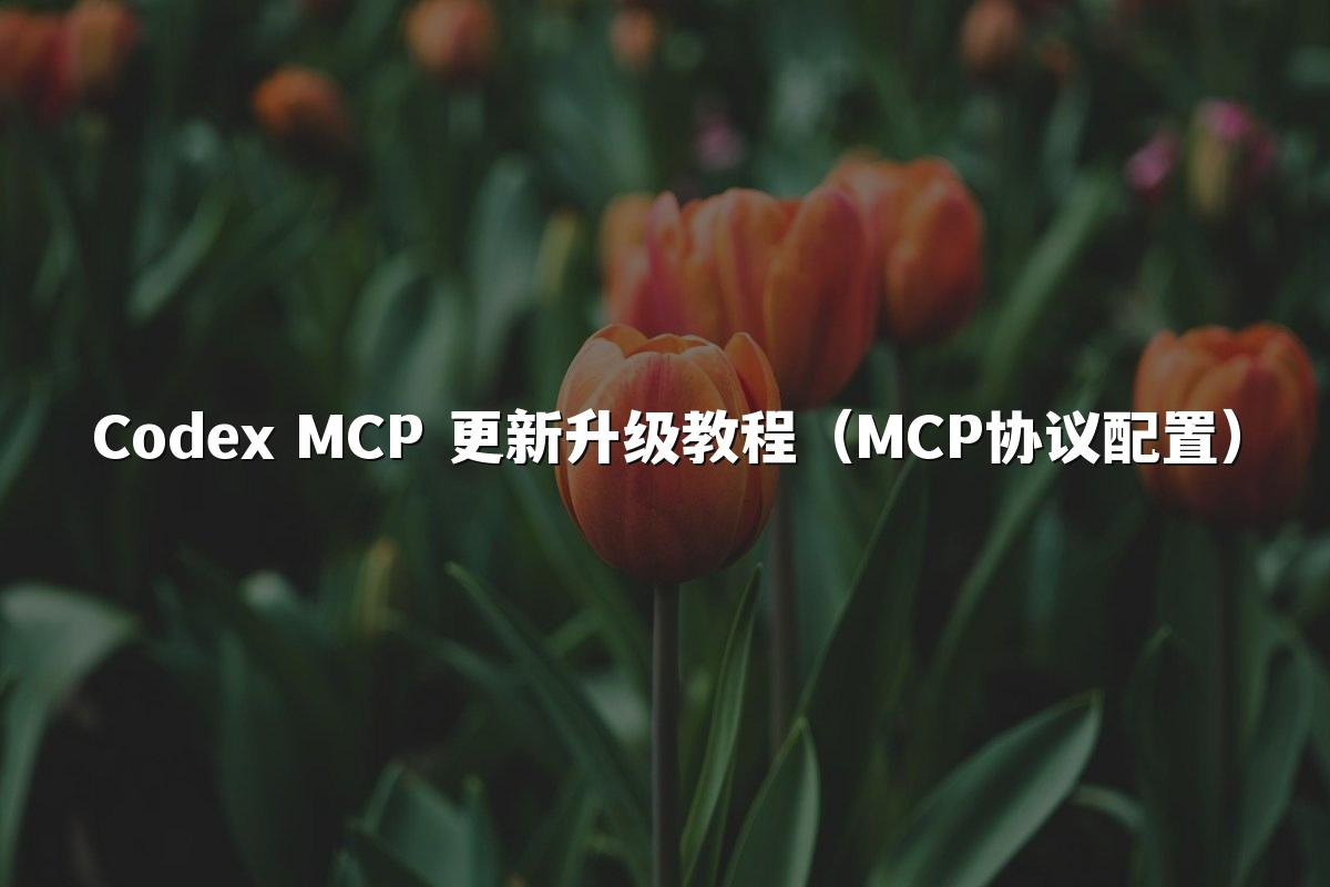 Codex MCP 更新升级教程（MCP协议配置）