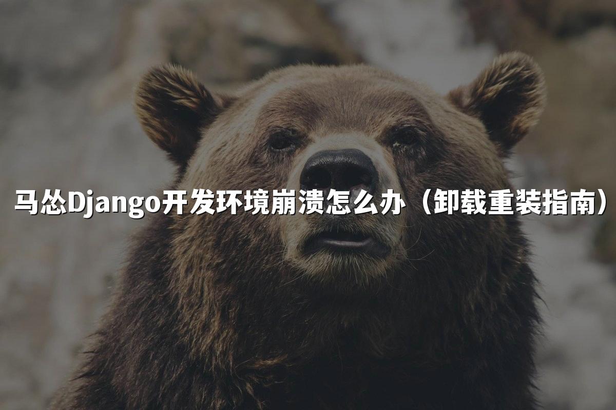 马怂Django开发环境崩溃怎么办（卸载重装指南）