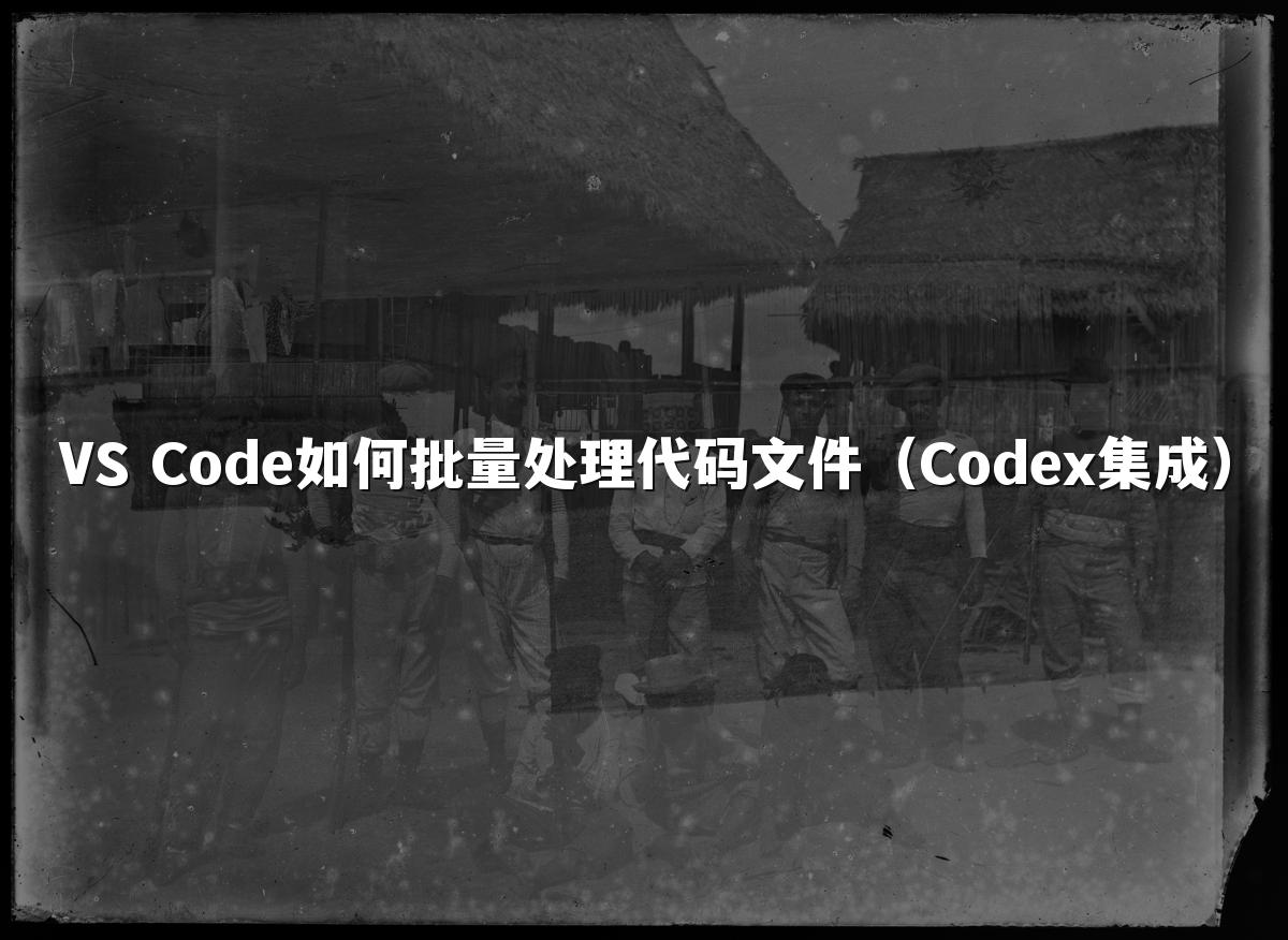 VS Code如何批量处理代码文件（Codex集成）