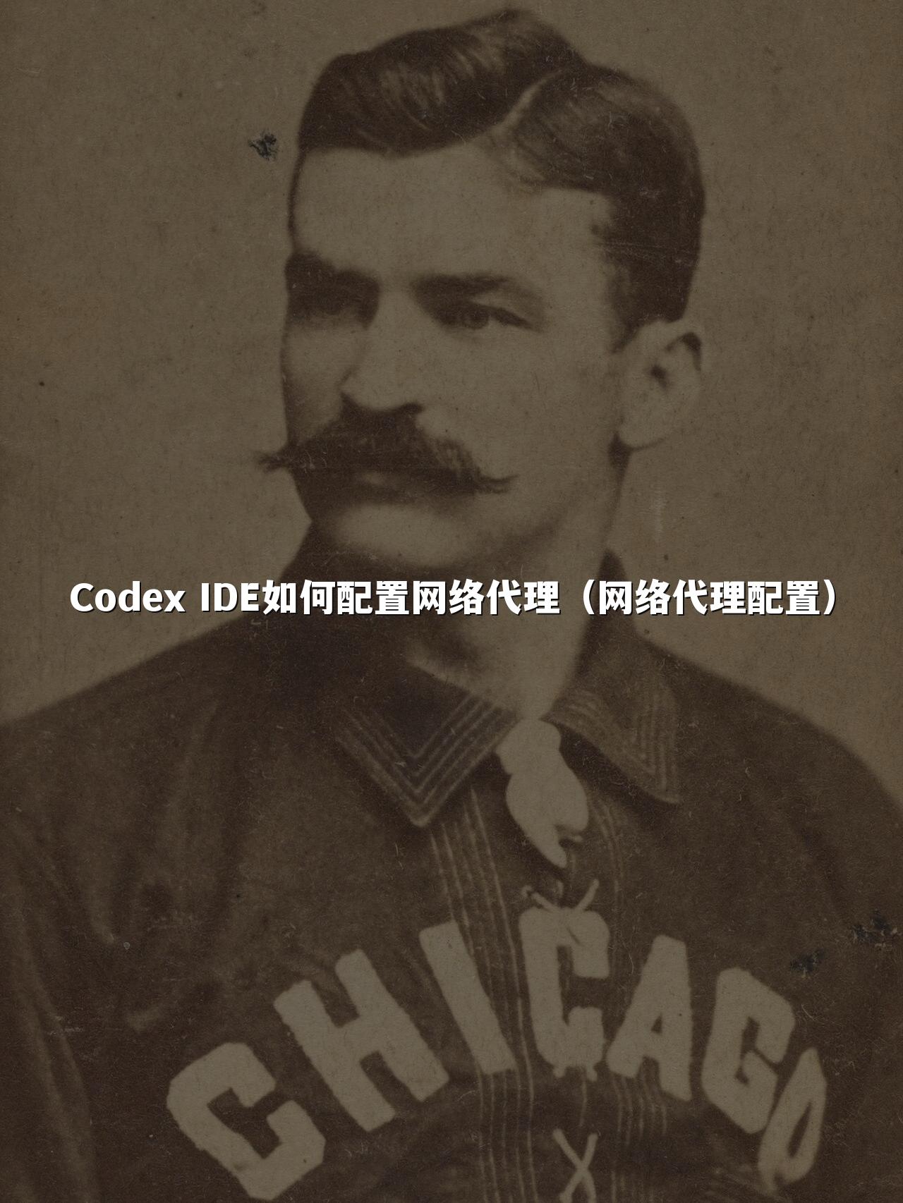 Codex IDE如何配置网络代理(网络代理配置)