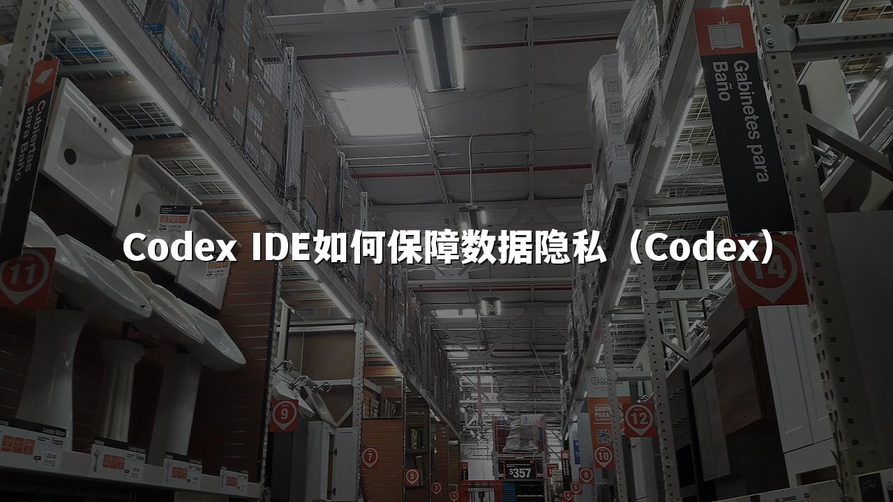Codex IDE如何保障数据隐私(Codex)