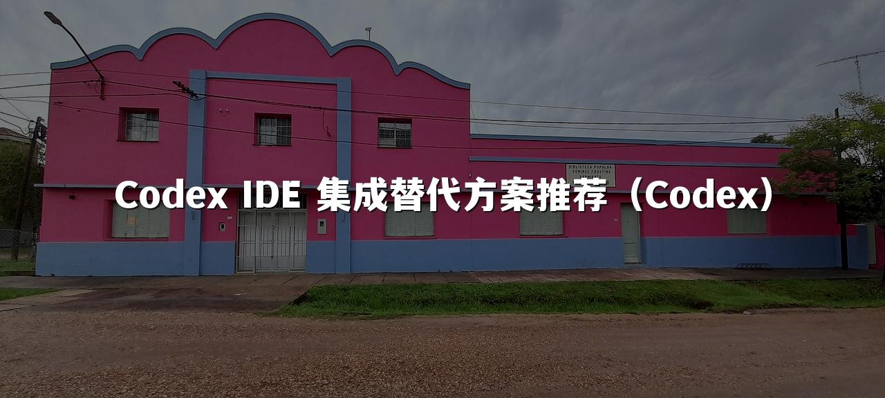 Codex IDE 集成替代方案推荐(Codex)