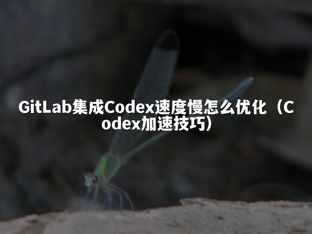 GitLab集成Codex速度慢怎么优化（Codex加速技巧）