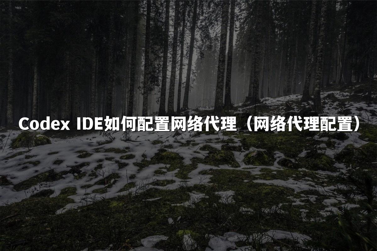 Codex IDE如何配置网络代理(网络代理配置)