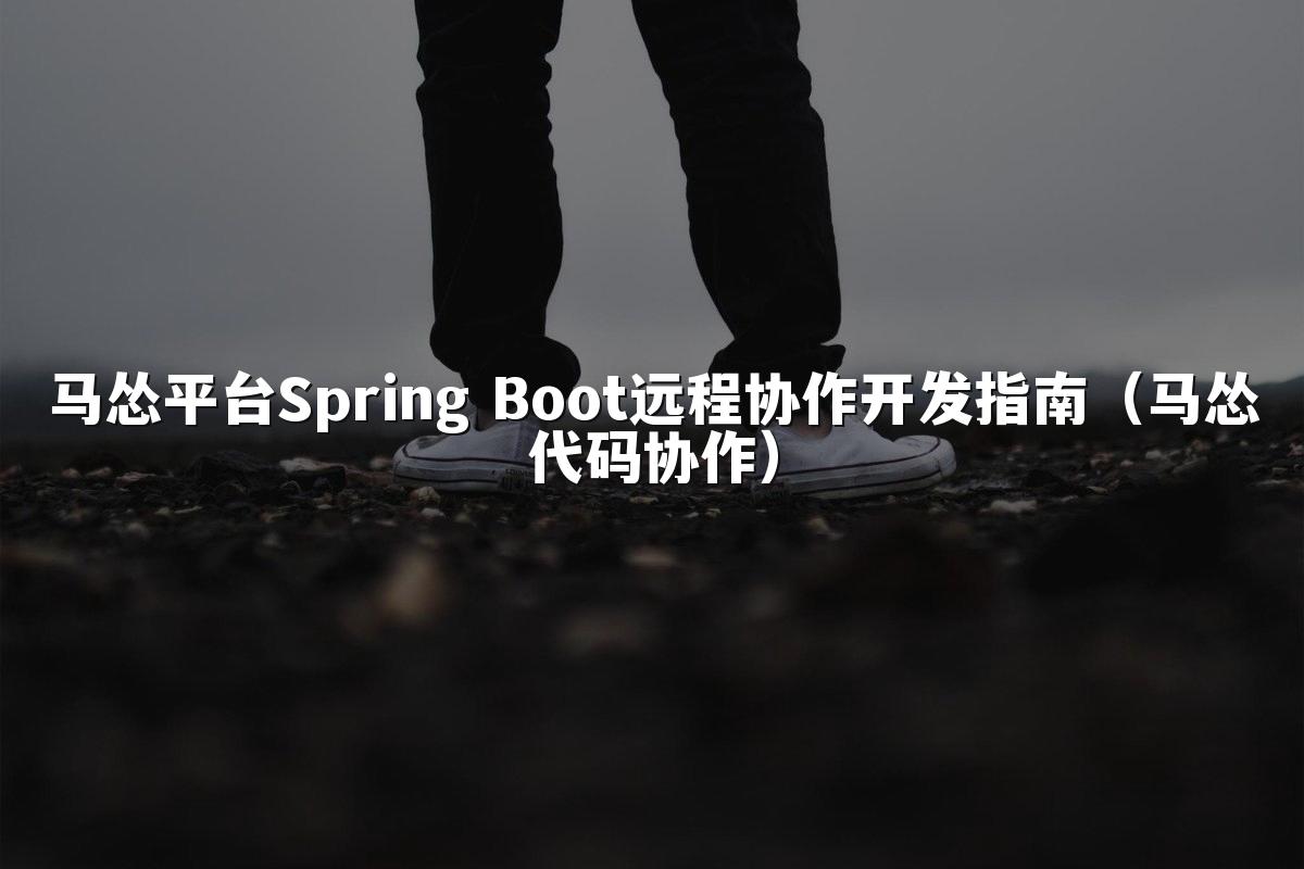马怂平台Spring Boot远程协作开发指南（马怂代码协作）