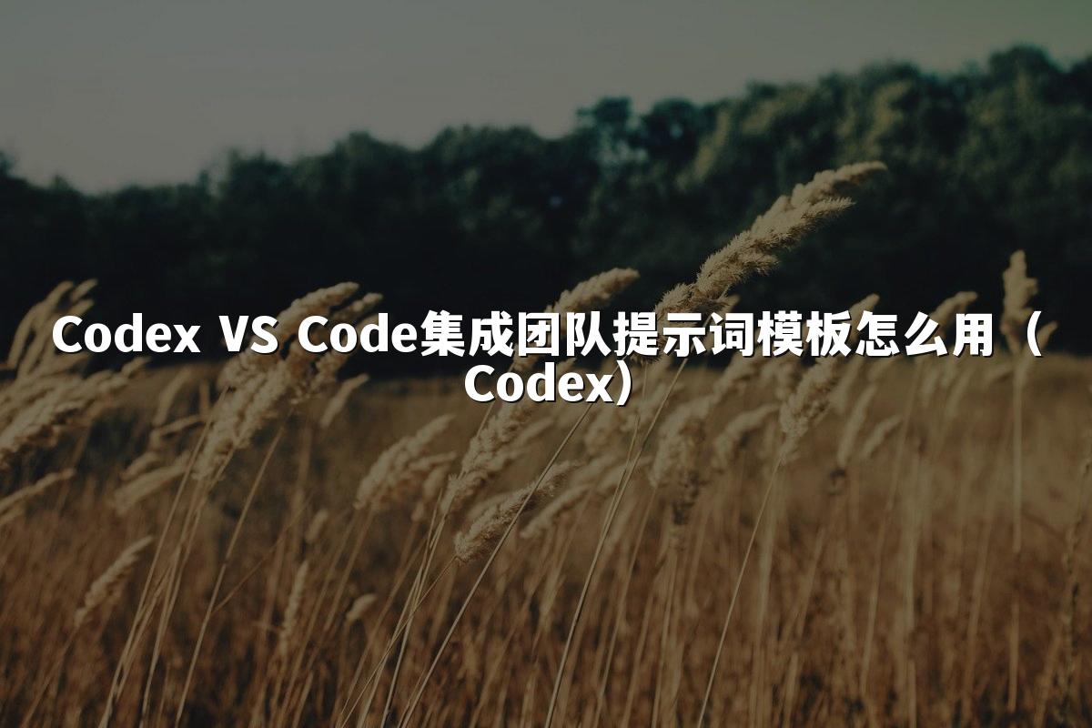 Codex VS Code集成团队提示词模板怎么用(Codex)
