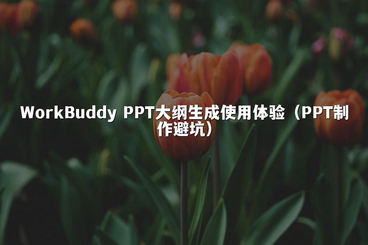 WorkBuddy PPT大纲生成使用体验（PPT制作避坑）