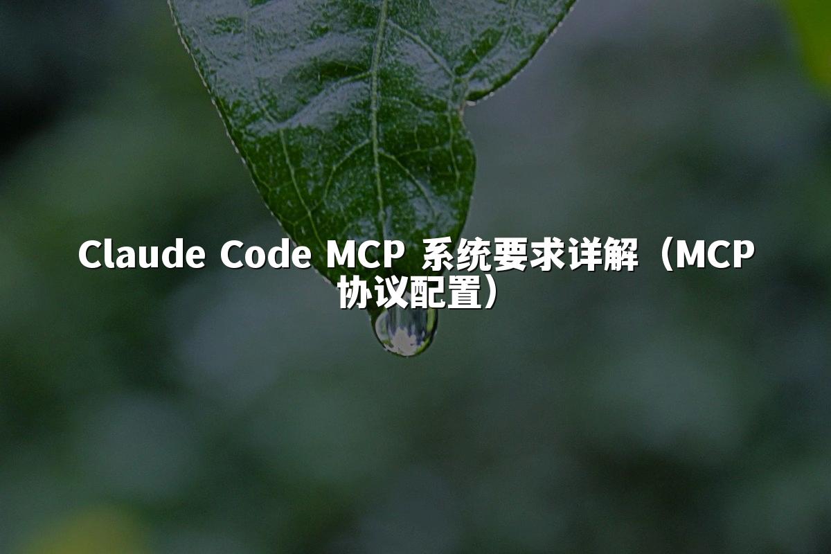 Claude Code MCP 系统要求详解（MCP协议配置）