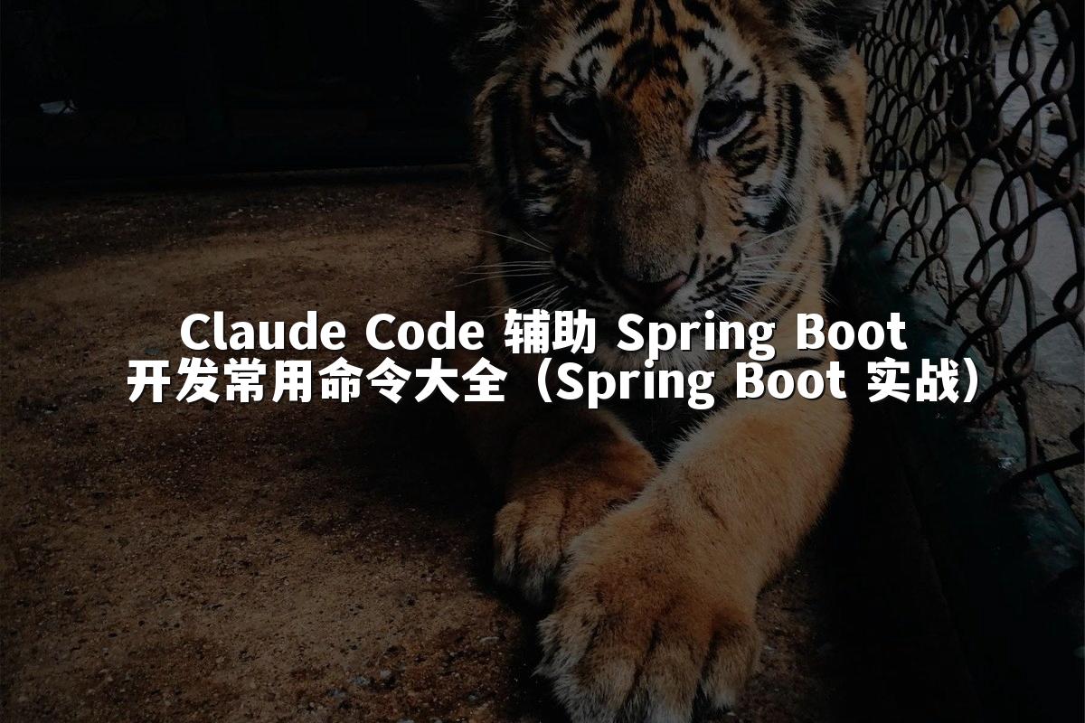 Claude Code 辅助 Spring Boot 开发常用命令大全（Spring Boot 实战）