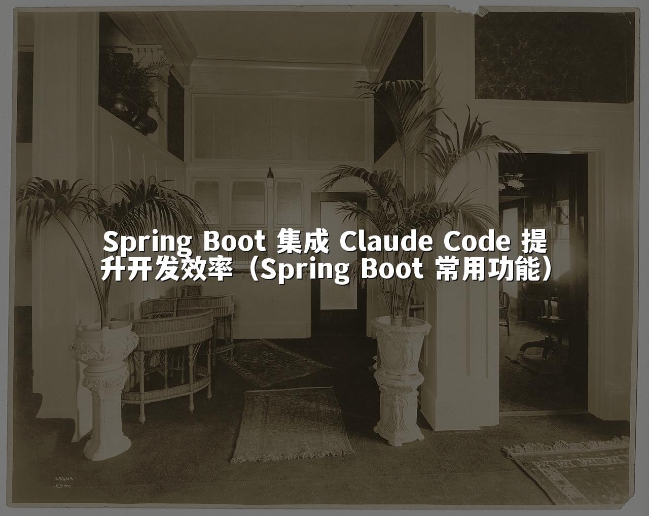 Spring Boot 集成 Claude Code 提升开发效率（Spring Boot 常用功能）