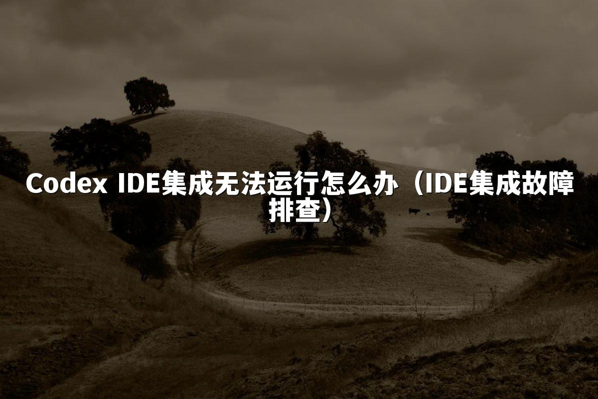 Codex IDE集成无法运行怎么办（IDE集成故障排查）