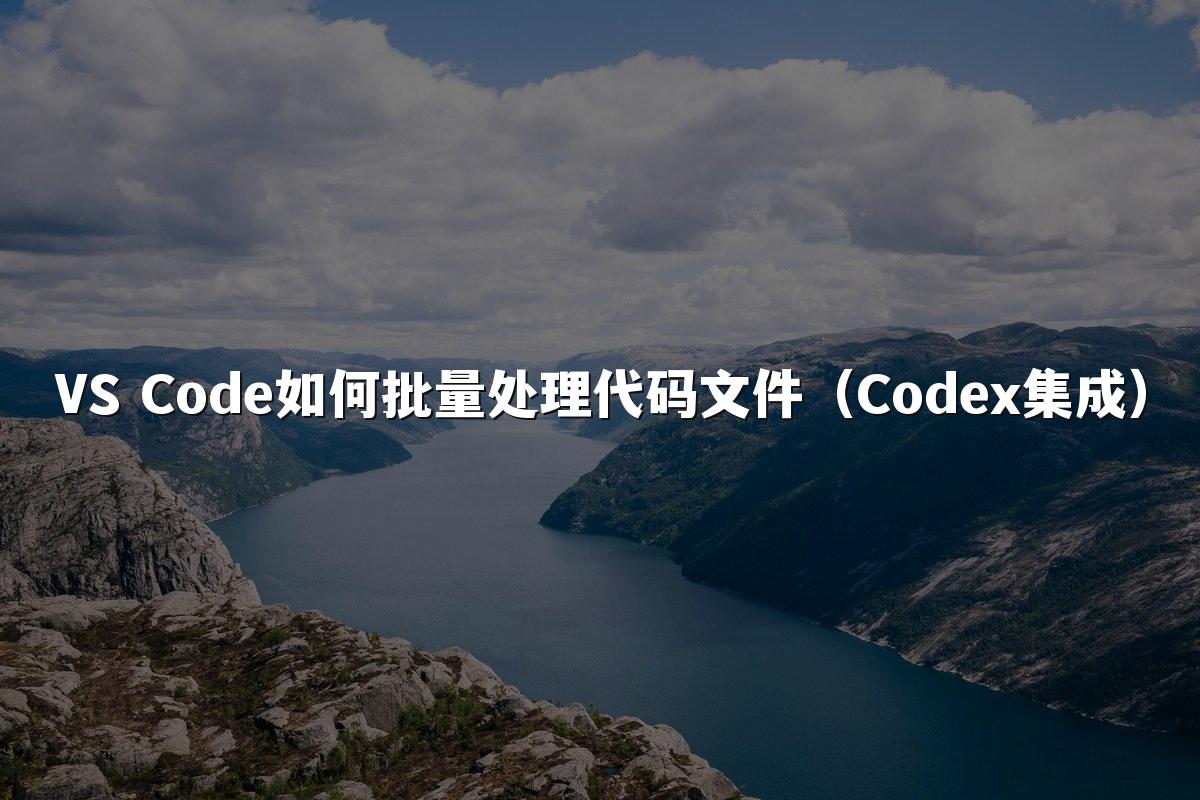 VS Code如何批量处理代码文件(Codex集成)