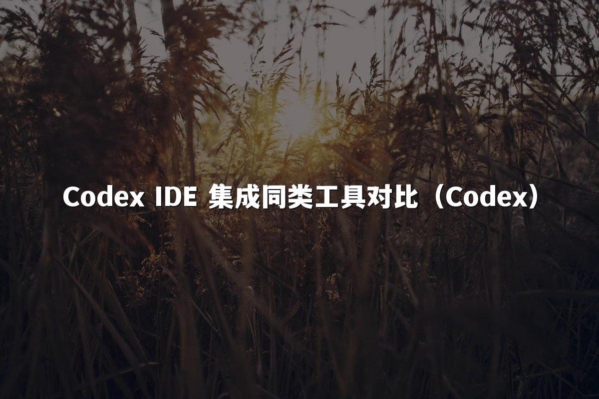 Codex IDE 集成同类工具对比（Codex）
