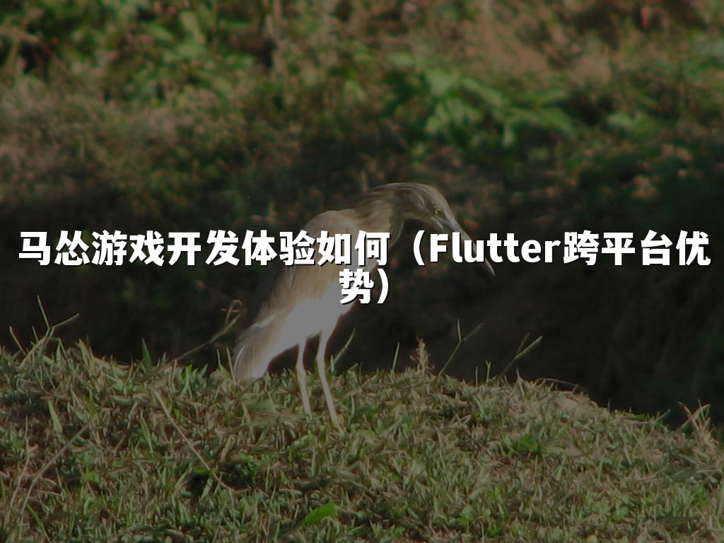 马怂游戏开发体验如何(Flutter跨平台优势)