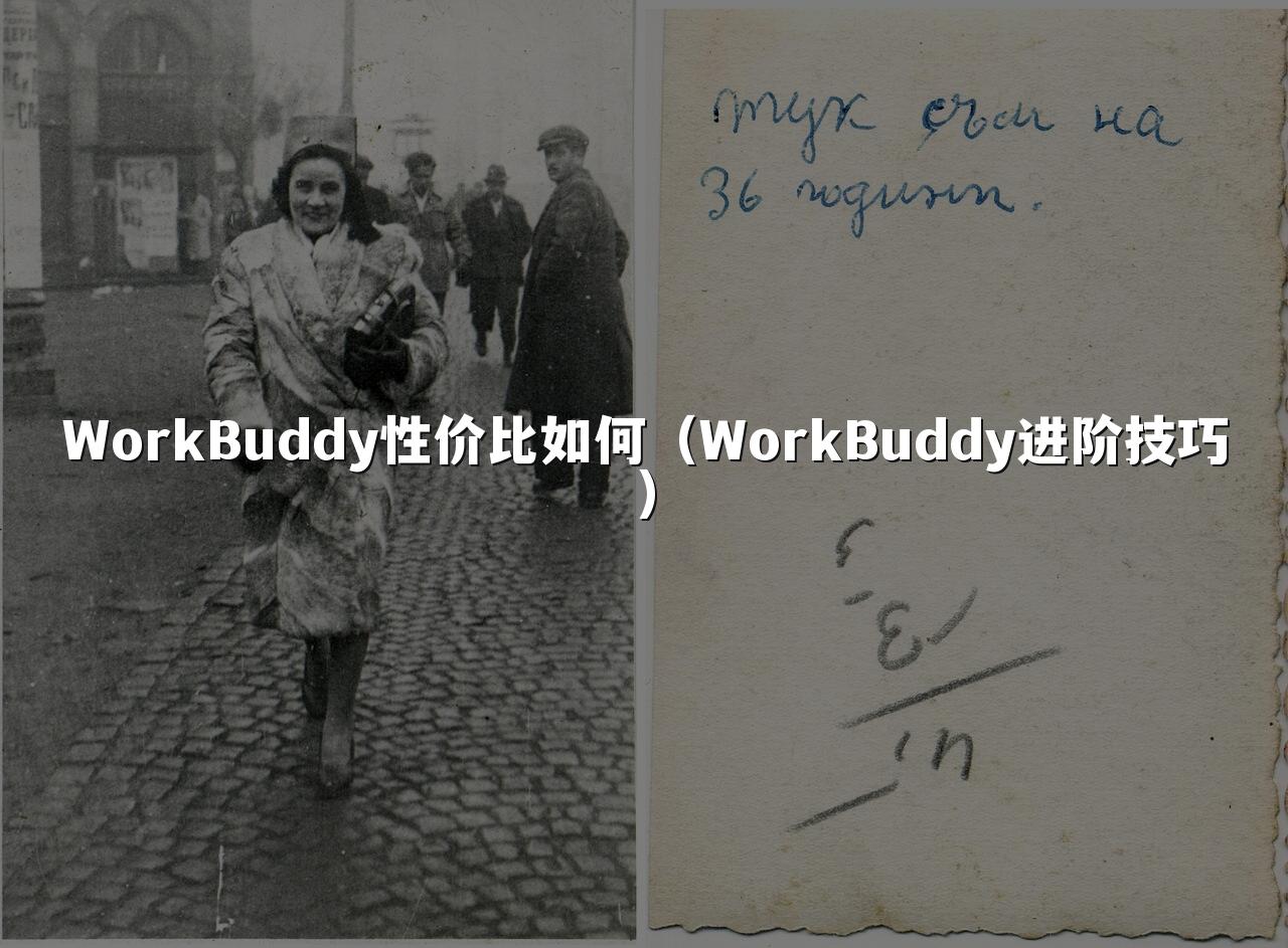 WorkBuddy性价比如何(WorkBuddy进阶技巧)