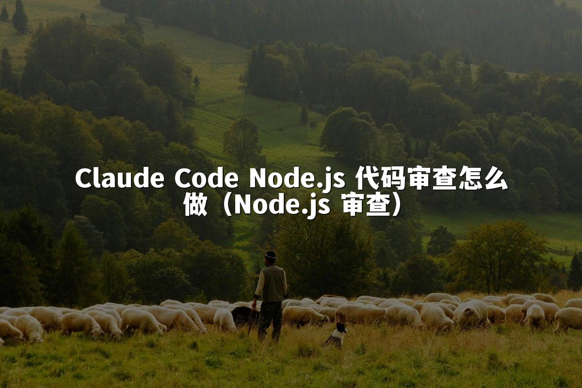 Claude Code Node.js 代码审查怎么做(Node.js 审查)