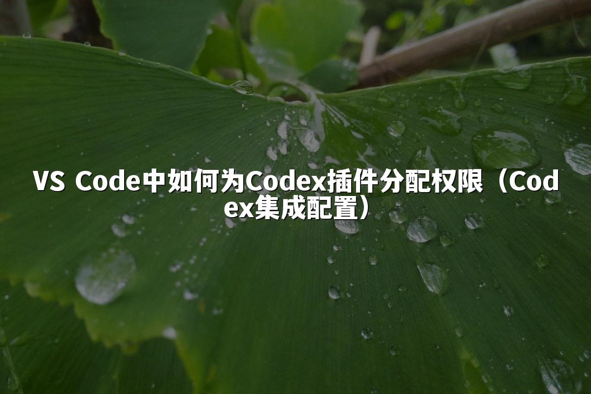 VS Code中如何为Codex插件分配权限(Codex集成配置)