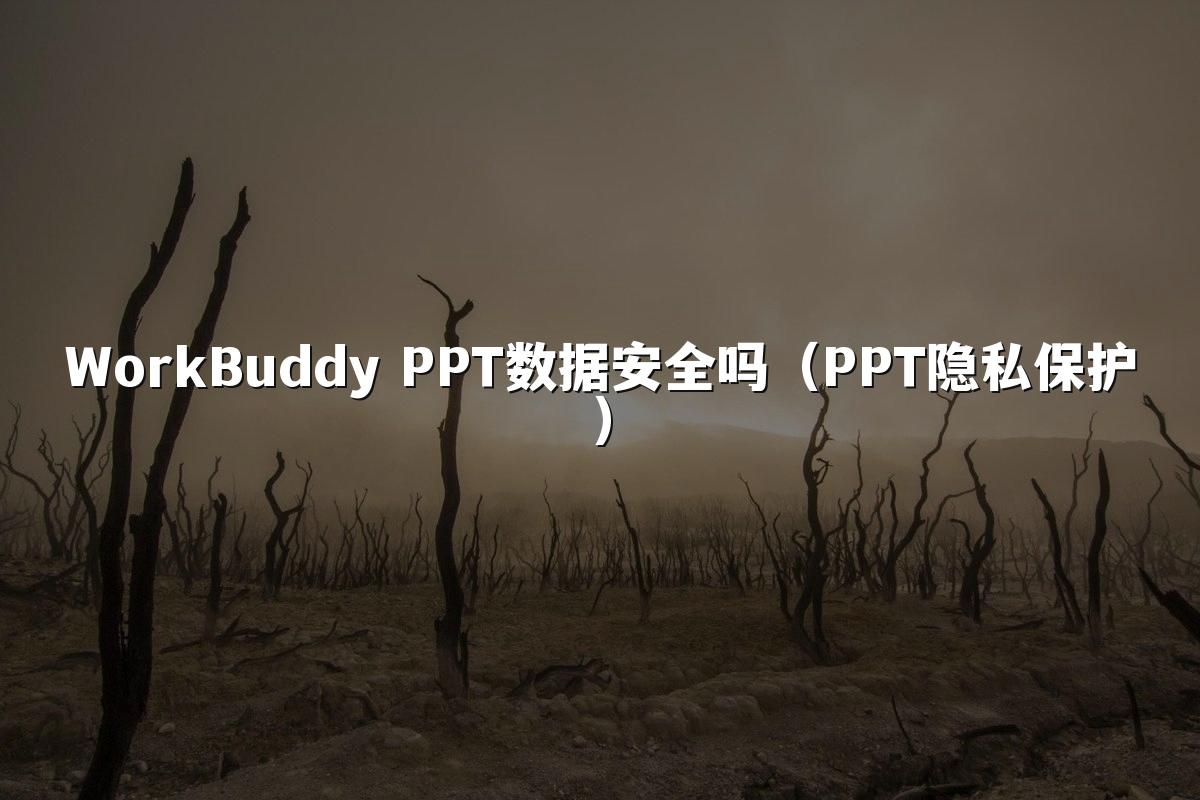WorkBuddy PPT数据安全吗(PPT隐私保护)