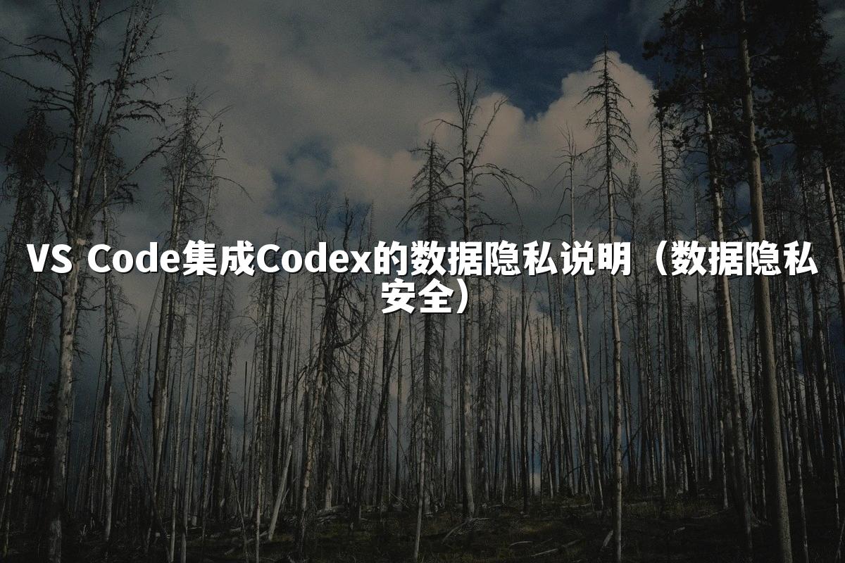 VS Code集成Codex的数据隐私说明（数据隐私安全）