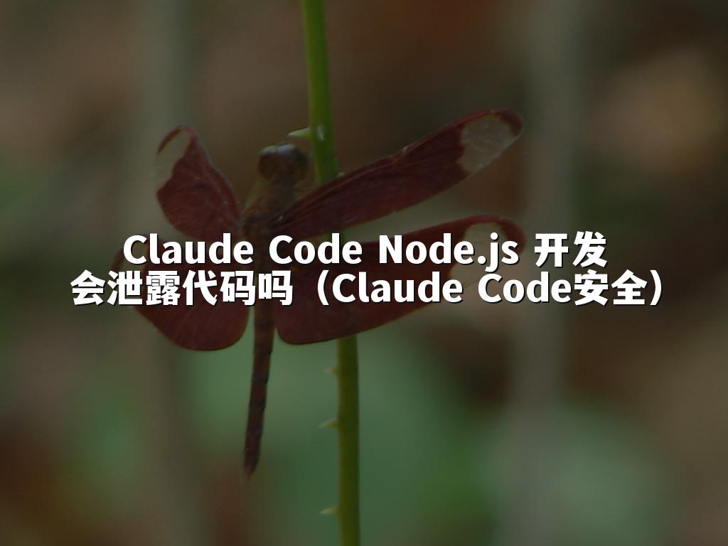 Claude Code Node.js 开发会泄露代码吗(Claude Code安全)