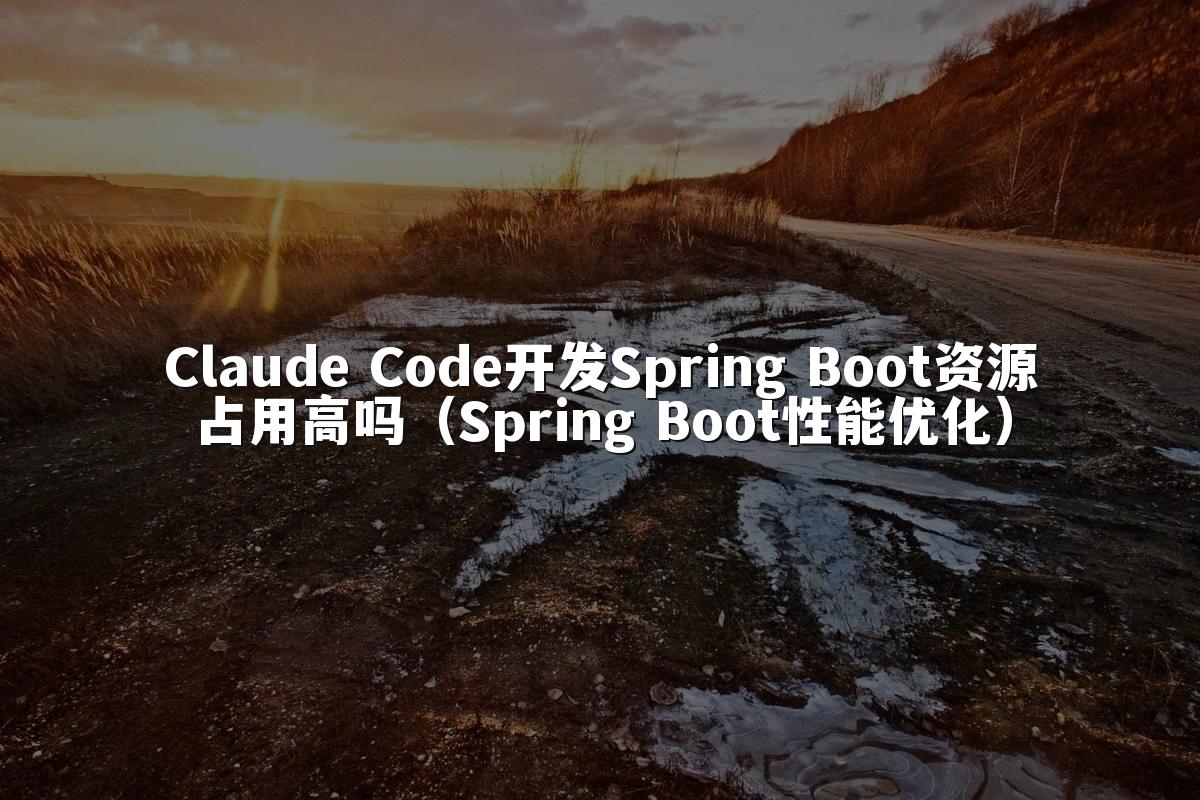 Claude Code开发Spring Boot资源占用高吗（Spring Boot性能优化）