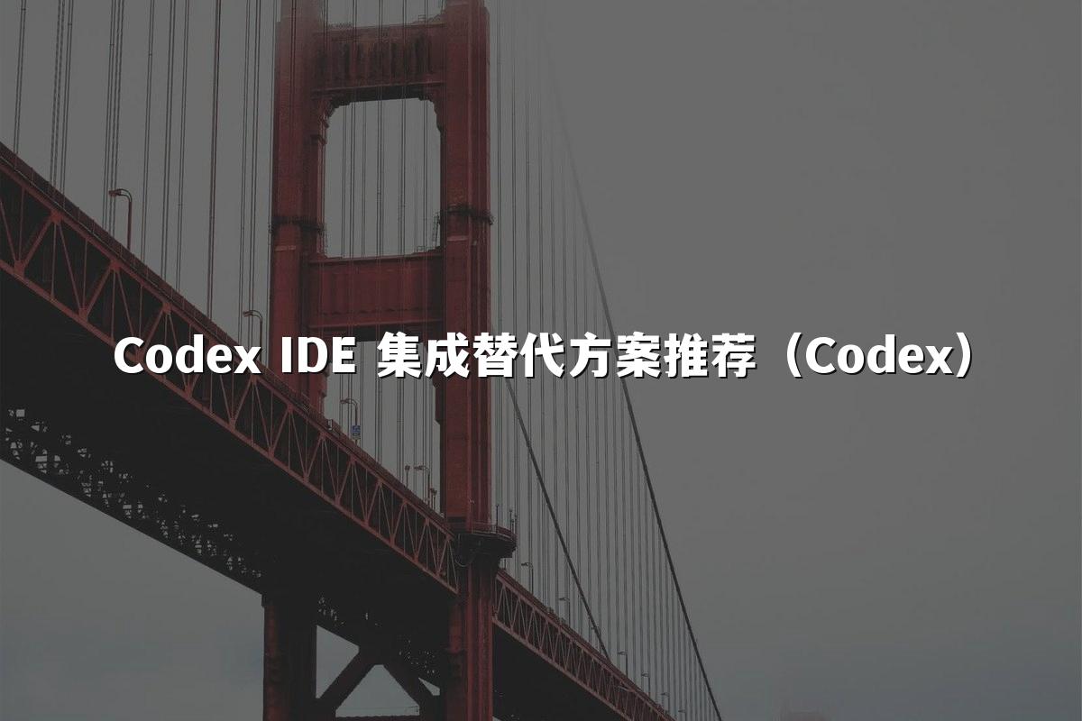 Codex IDE 集成替代方案推荐(Codex)