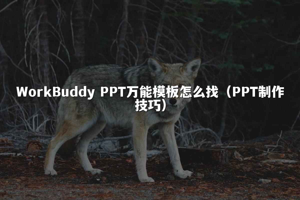 WorkBuddy PPT万能模板怎么找(PPT制作技巧)