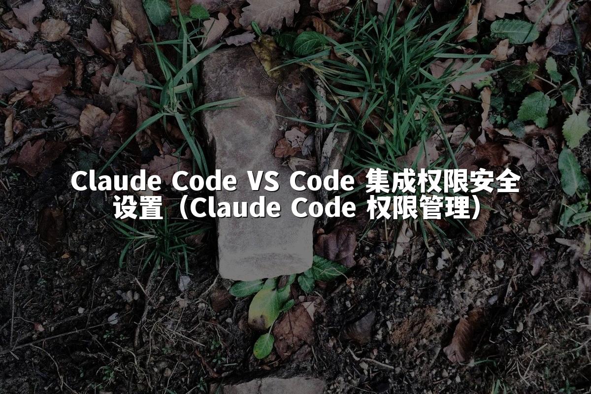 Claude Code VS Code 集成权限安全设置（Claude Code 权限管理）