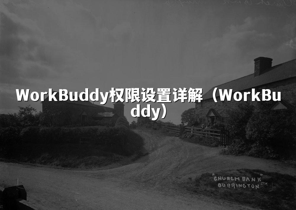 WorkBuddy权限设置详解(WorkBuddy)