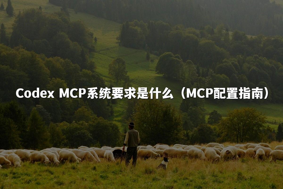 Codex MCP系统要求是什么（MCP配置指南）