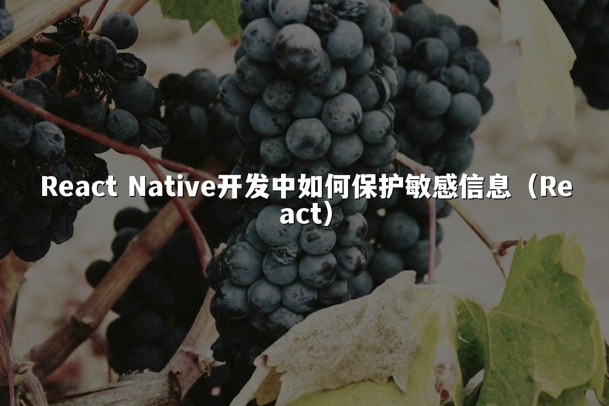 React Native开发中如何保护敏感信息（React）