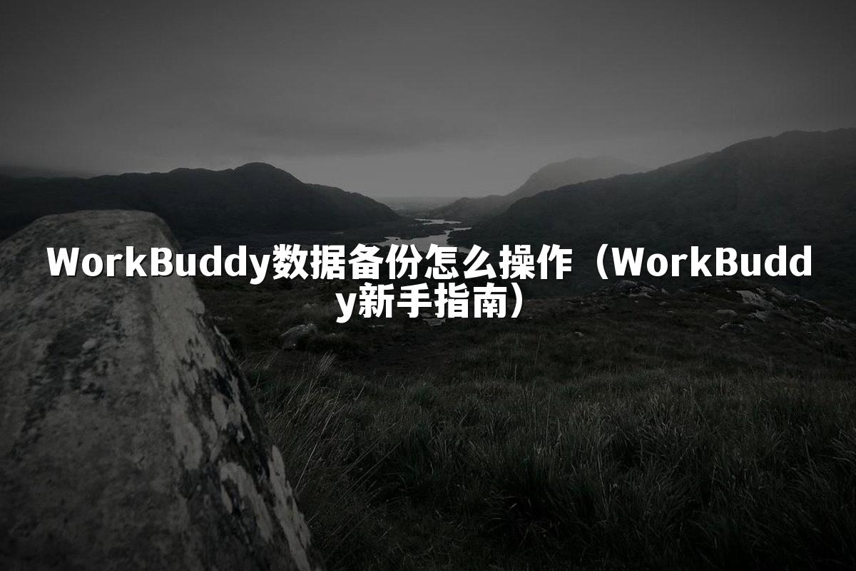 WorkBuddy数据备份怎么操作(WorkBuddy新手指南)