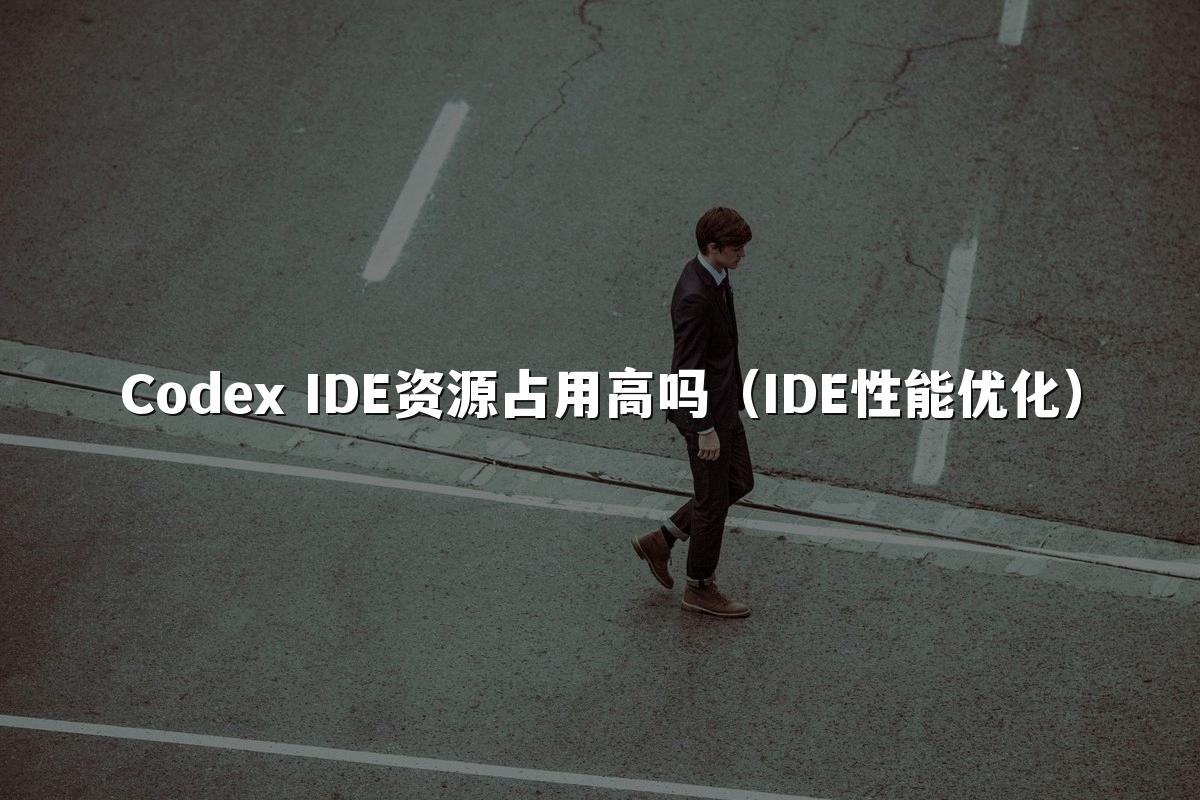 Codex IDE资源占用高吗（IDE性能优化）