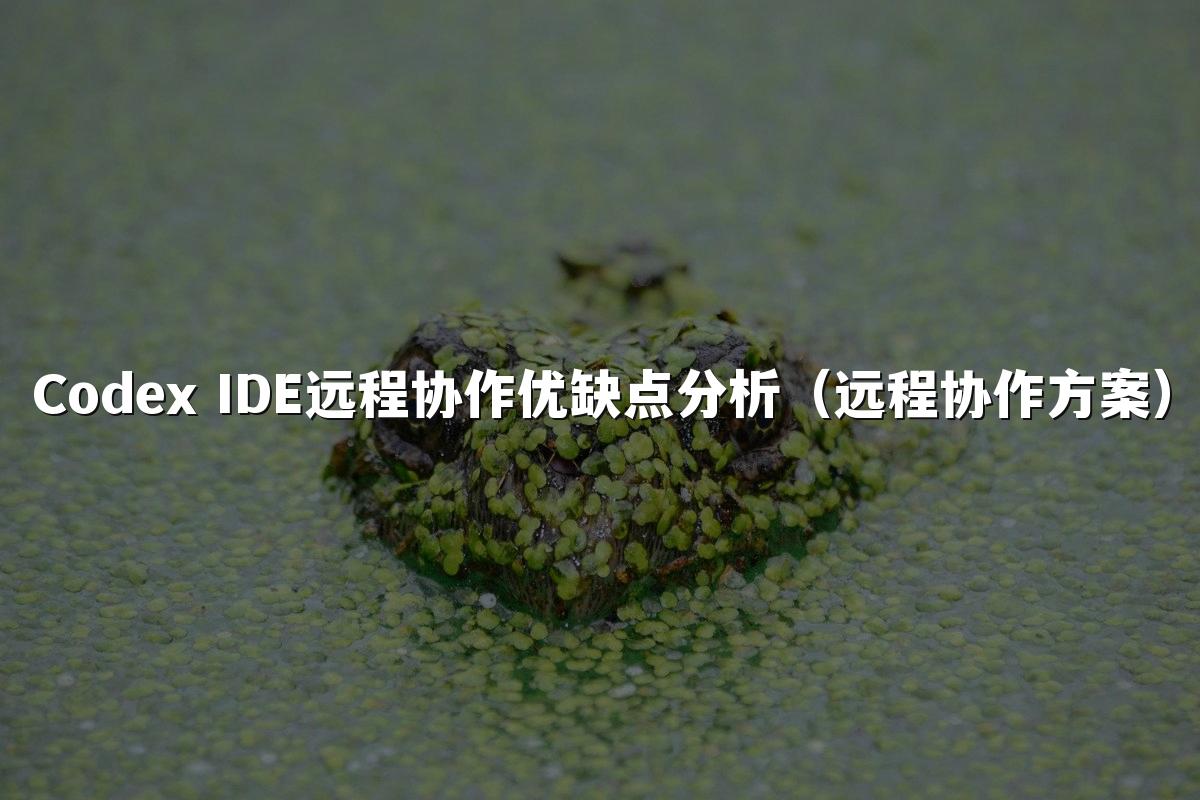 Codex IDE远程协作优缺点分析（远程协作方案）