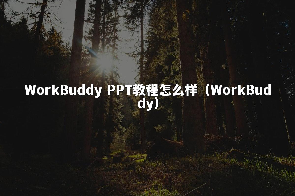 WorkBuddy PPT教程怎么样（WorkBuddy）