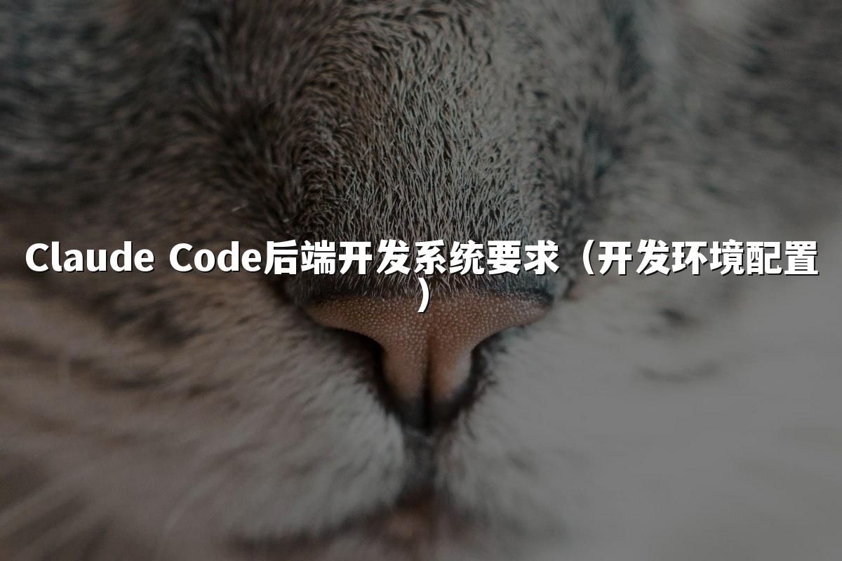 Claude Code后端开发系统要求（开发环境配置）